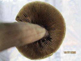 IMG_8092.JPG