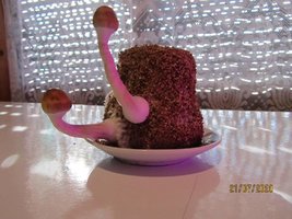 IMG_8096.JPG
