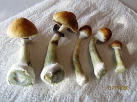 IMG_8098.JPG
