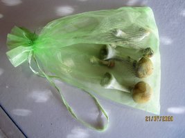 IMG_8099.JPG