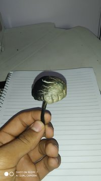 IMG_20200723_164405.jpg