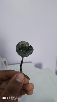 IMG_20200723_164453.jpg