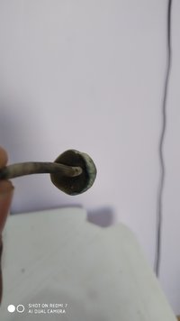 IMG_20200723_164631.jpg