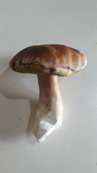 20200724_095258.jpg