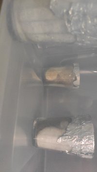 IMG-20200724-WA0000.jpeg