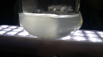 IMG_20200722_142500260.jpg