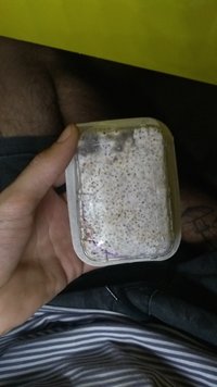 IMG_20200722_142912049.jpg
