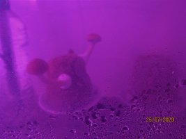 IMG_8102.JPG