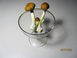 IMG_8107.JPG