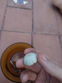 IMG_20200725_162213187.jpg