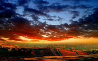 dreamlandscape.jpg