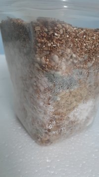 20200727_141309.jpg