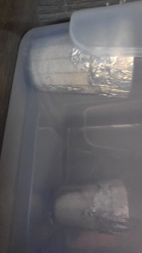 IMG-20200728-WA0048.jpeg