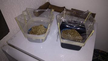 IMG_20200729_204232806.jpg
