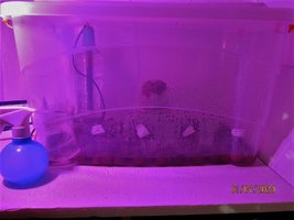 IMG_8108.JPG