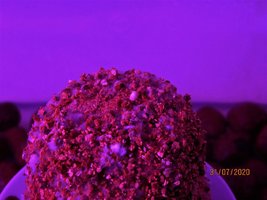 IMG_8109.JPG