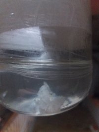20200802_183033.jpg