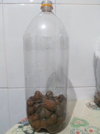 20200804_193443.jpg