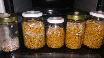 20200804_203855.jpg