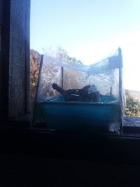20200804_080717.jpg