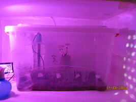IMG_8116.JPG
