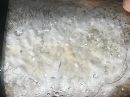 IMG_9890.jpeg