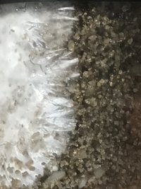 75651E42-510D-413D-8675-D7E0DCB3B09D.jpeg