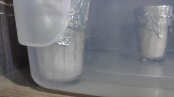 IMG-20200805-WA0008.jpeg