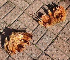 20200806_152421.jpg