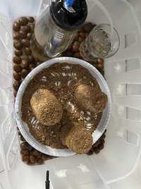 98230E33-7773-4C44-B8EE-1C5C5DF299C8.jpeg