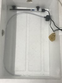 196BD02D-E0D8-4304-897E-730E32F932F9.jpeg
