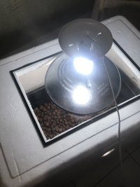 05F64007-6DDC-4375-8F1A-8D535171B9E4.jpeg