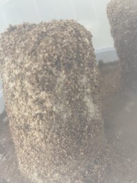 B002DF57-71B8-475E-81AF-163DE44E4250.jpeg