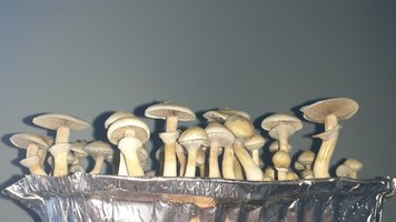 20200808_092236.jpg