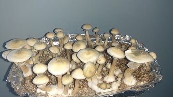 20200808_092246.jpg