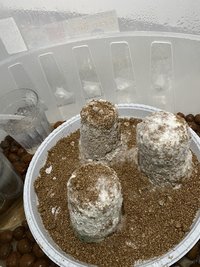 03218805-143E-45BC-BB66-7C93D9D01C41.jpeg
