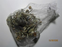 IMG_8123.JPG