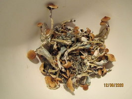 IMG_8125.JPG