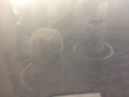 1FE1D158-EE22-4610-8401-A9B13CB06993.jpeg