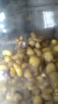 IMG_20200813_163709073.jpg