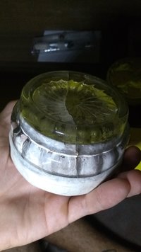 IMG_20200813_172934021.jpg