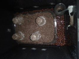 IMG_20200813_134811.jpg