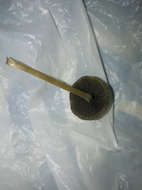 20200814_182835.jpg
