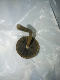 20200814_183017.jpg