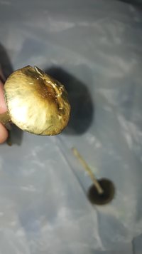 20200814_213642.jpg