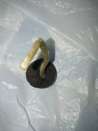 20200814_182717.jpg