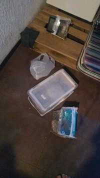 IMG_20200815_171405324.jpg