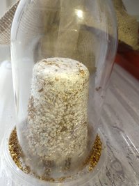 IMG_20200818_152446795.jpg