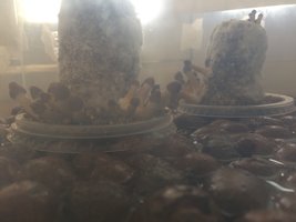 0DDF7596-7CDC-456D-AA1E-EBEAF59D45CA.jpeg