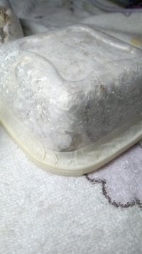 IMG_20200820_015342877.jpg